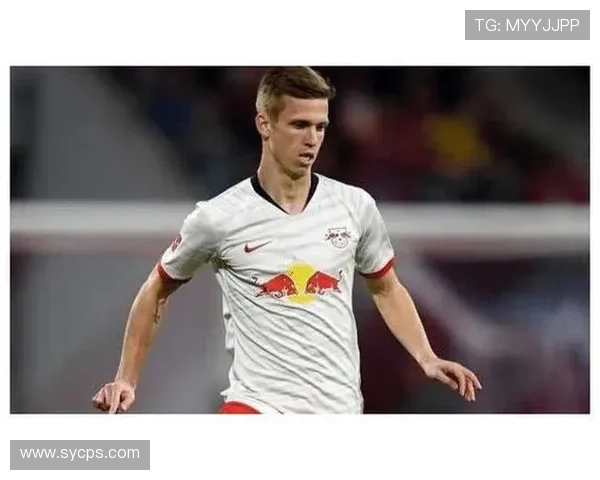 从组织者到终结参与者:奥尔莫的数据进化 从组织者到终结参与者:奥尔莫的数据进化